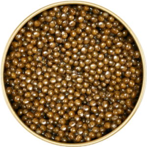 OSETRA KAVIÁR